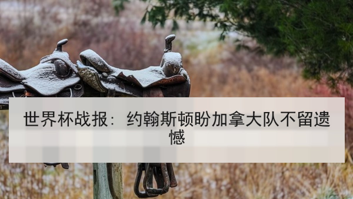 世界杯战报: 约翰斯顿盼加拿大队不留遗憾 世界杯战报: 约翰斯顿盼加拿大队不留遗憾