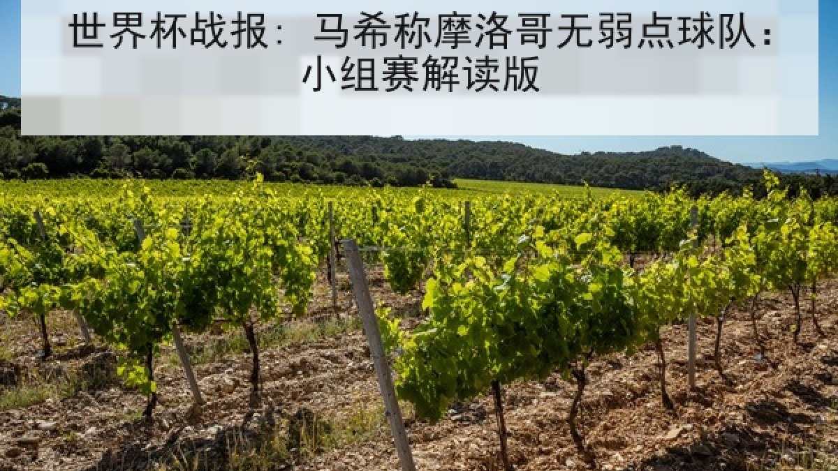 世界杯战报: 马希称摩洛哥无弱点球队:小组赛解读版 世界杯战报: 马希称摩洛哥无弱点球队:小组赛解读版
