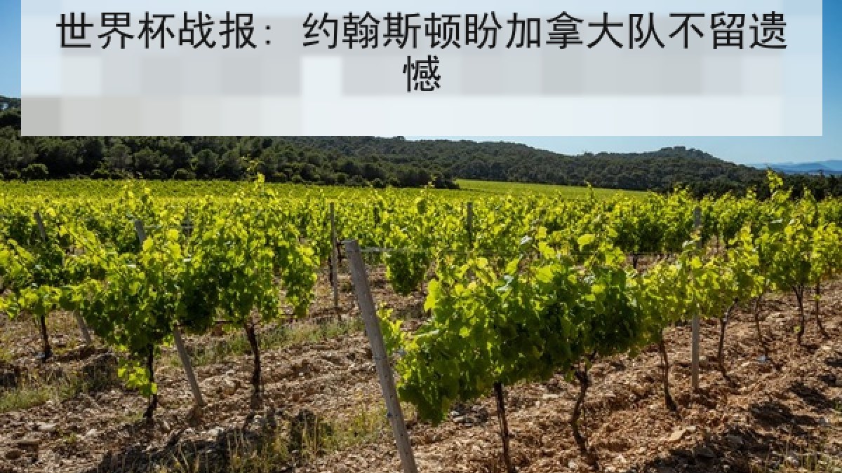 世界杯战报: 约翰斯顿盼加拿大队不留遗憾 世界杯战报: 约翰斯顿盼加拿大队不留遗憾