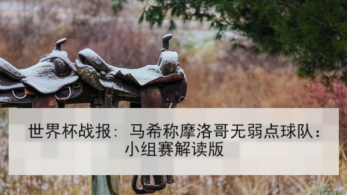 世界杯战报: 马希称摩洛哥无弱点球队：小组赛解读版