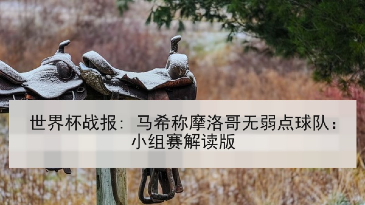 世界杯战报: 马希称摩洛哥无弱点球队：小组赛解读版