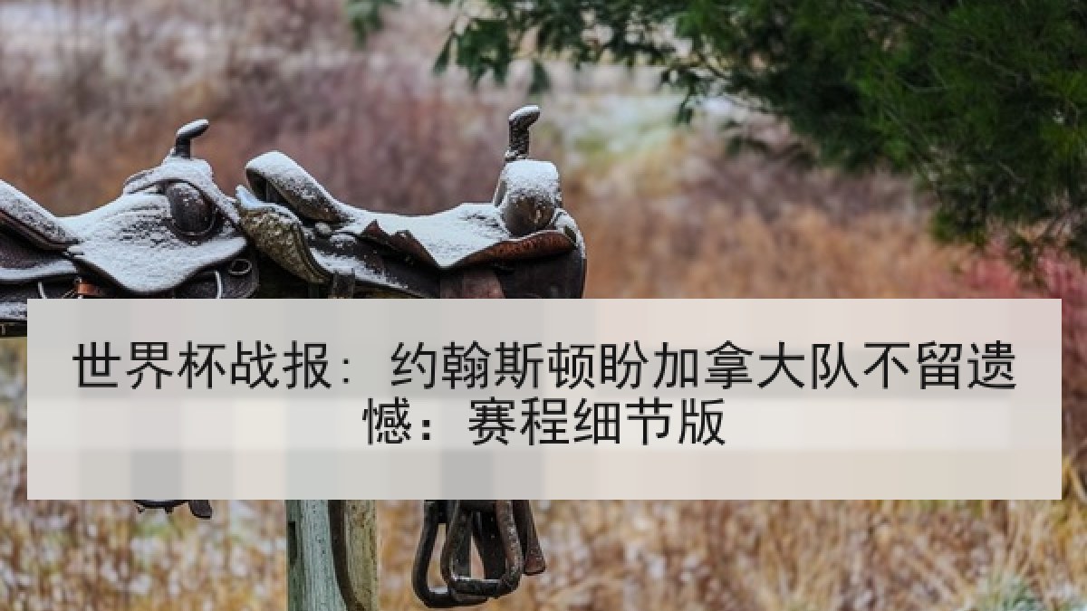 世界杯战报: 约翰斯顿盼加拿大队不留遗憾：赛程细节版