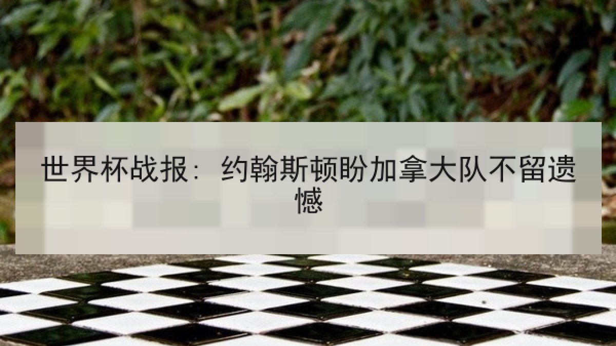 世界杯战报: 约翰斯顿盼加拿大队不留遗憾