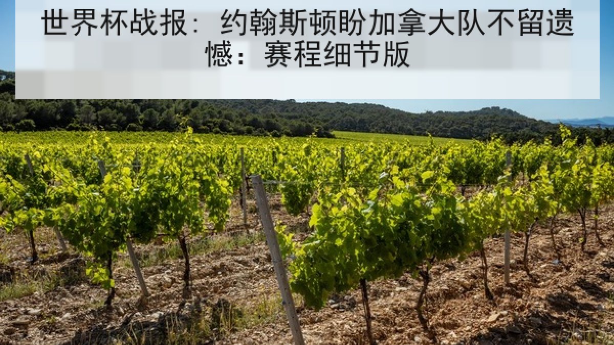 世界杯战报: 约翰斯顿盼加拿大队不留遗憾：赛程细节版