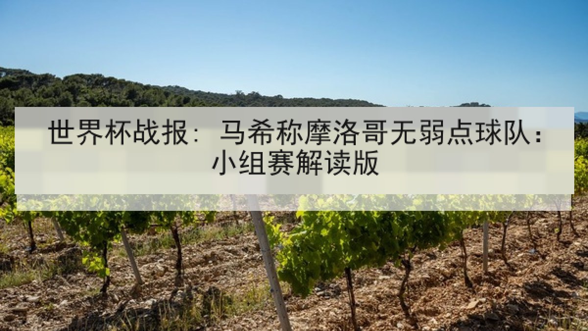 世界杯战报: 马希称摩洛哥无弱点球队:小组赛解读版 世界杯战报: 马希称摩洛哥无弱点球队:小组赛解读版