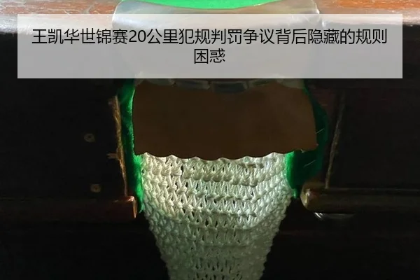 wang-kai-hua-shi-jin-sai-gong-li-fan-gui-pan-fa-zheng-yi-bei-hou-yin-cang-de-gui-ze-kun-huo-3-300.jpg
