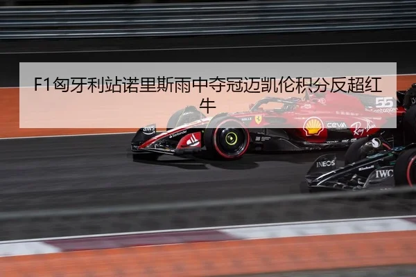 F1匈牙利站诺里斯雨中夺冠迈凯伦积分反超红牛